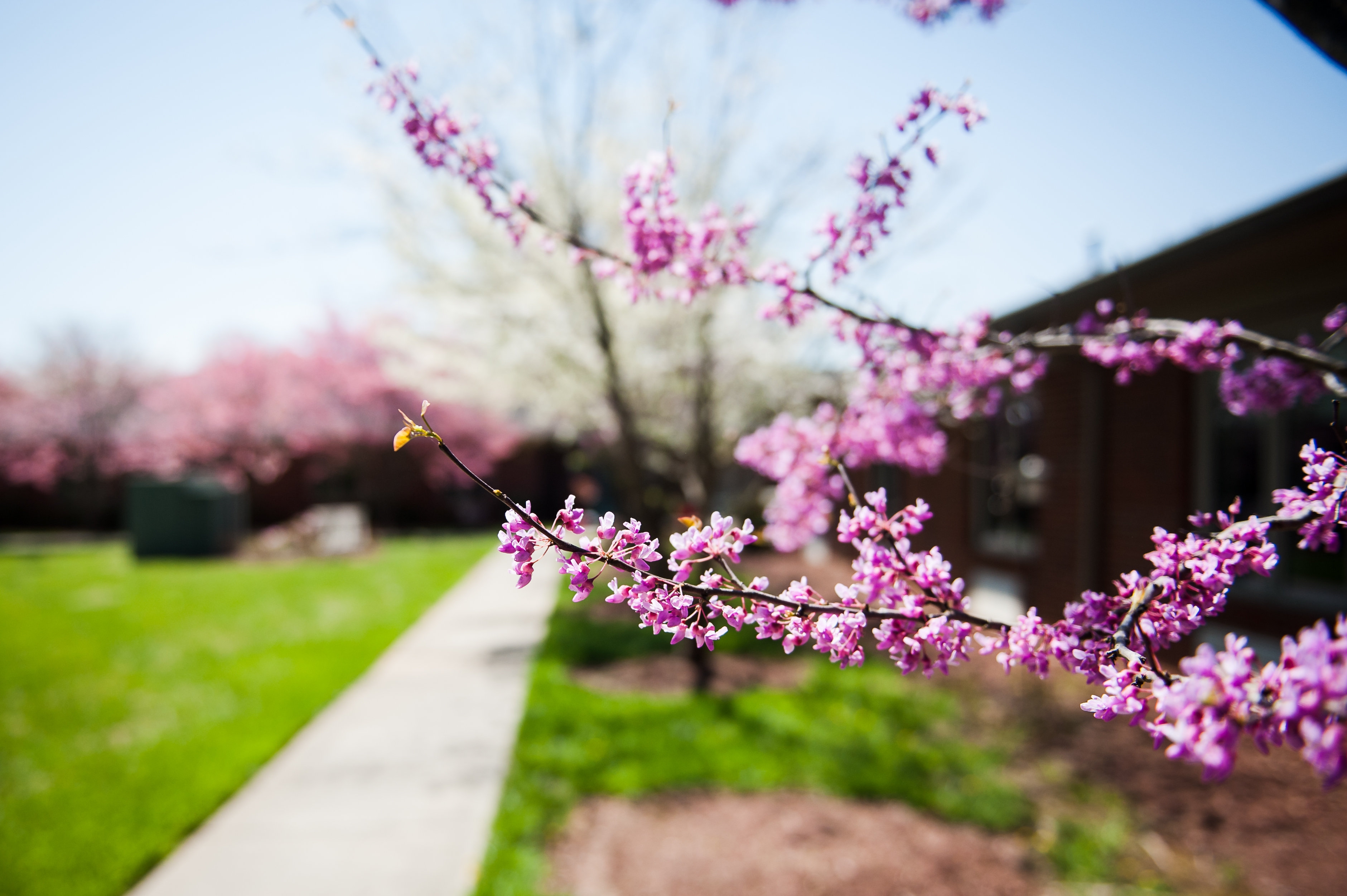 Commonwealth Senior Living at South Boston image