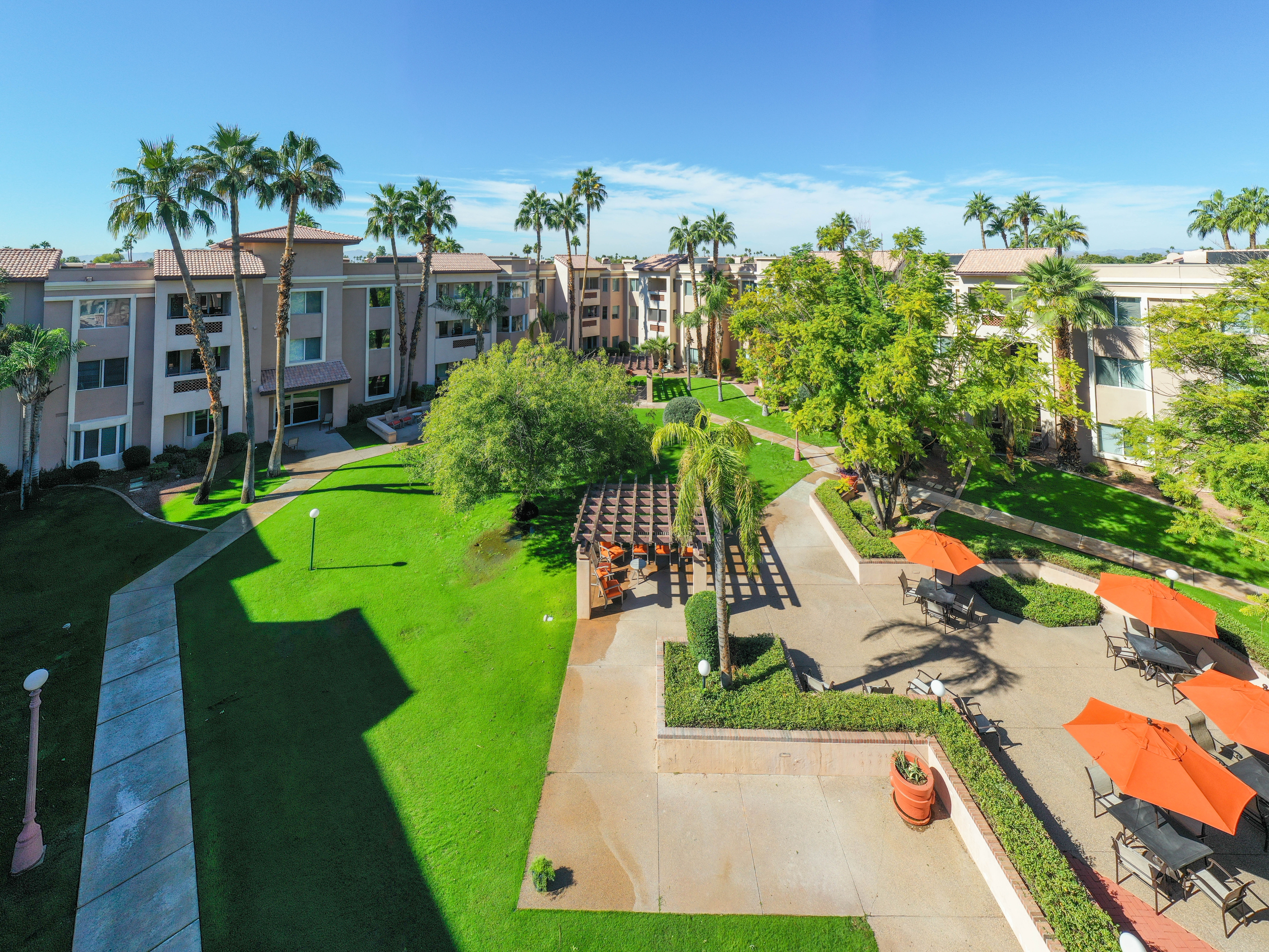 The Palms at Sun City image