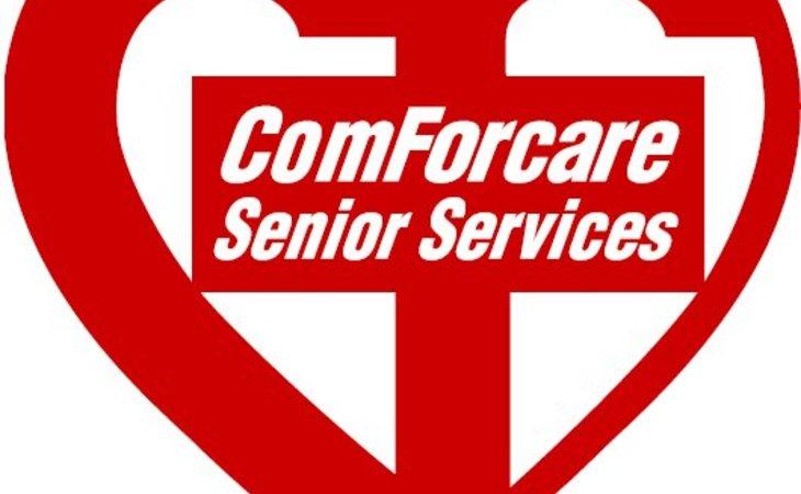 ComForCare Home Care (Southwest Chicago, IL)