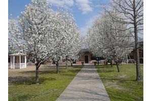 Oak Ridge Nursing Home