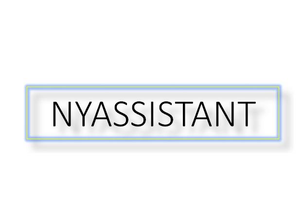 NYAssistant